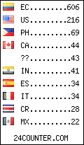 Website Audience by Country