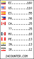 Website Audience by Country