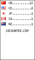 Website Audience by Country