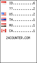 Website Audience by Country