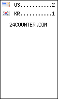 Website Audience by Country